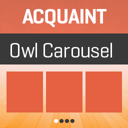 Acquaint Owl Carousel
