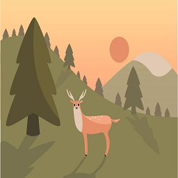 Auto Shadow On Post Images