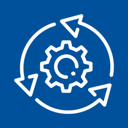 Auto Update WP