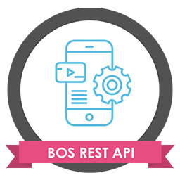 BadgeOS REST API Addon