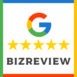 BizReview – Business and Google Place Review Plugin