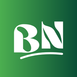 Blog News Addons For Elementor (News, Magazine and Blog Addons)
