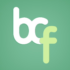 Bonzer Custom Fields Creator