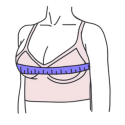 Bra Size Calculator