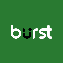 Burst Statistics – Privacy-Friendly WordPress Analytics (Google Analytics Alternative)
