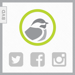 BVD Easy Social Feeds &amp; Images