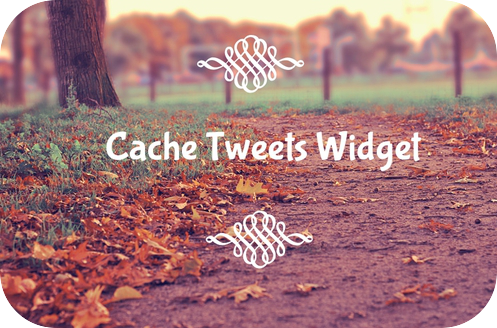 Cache Tweets Widget