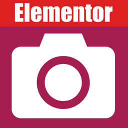 Camera Field for Elementor Forms