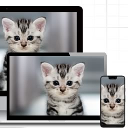 Responsive Images