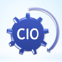 CIO Custom Field Groups for PODS