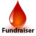 Cyber Fundraiser Lite