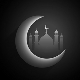 Daily Hadith Widget