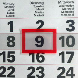 Date Calculator
