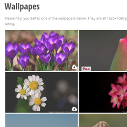 downloadable gallery