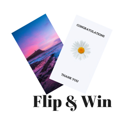 Filp &amp; Win