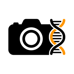 Fotogenic AI