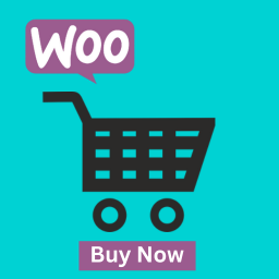 WC Buy Now Button