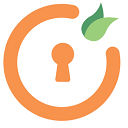 Headless SSO Plugin for WP