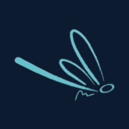 iFlySEO