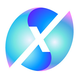 IN4X Crypto Payment