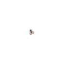 Bug – fly on the screen