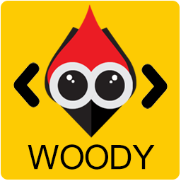 Woody Code Snippets – Insert PHP, CSS, JS, and Header/Footer Scripts