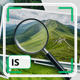 ITBoffins Image Scout