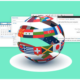 Language option for ACF4+ Fields