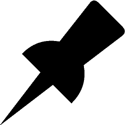 LH Taxonomy Pinned Posts