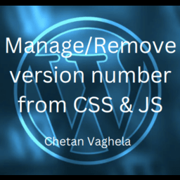 Manage/Remove version number from CSS &amp; JS