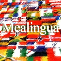Mealingua Posts and Pages Translations