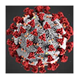 MSIT Corona Virus Live Update Widgets