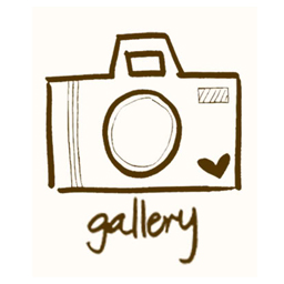 Multi Gallery for Posts and cutom posts