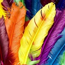 Multi Image Upload