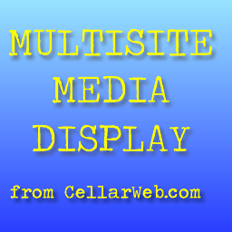 Multisite Media Display