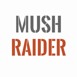 MushRaider Bridge