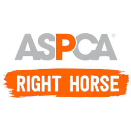 My Right Horse