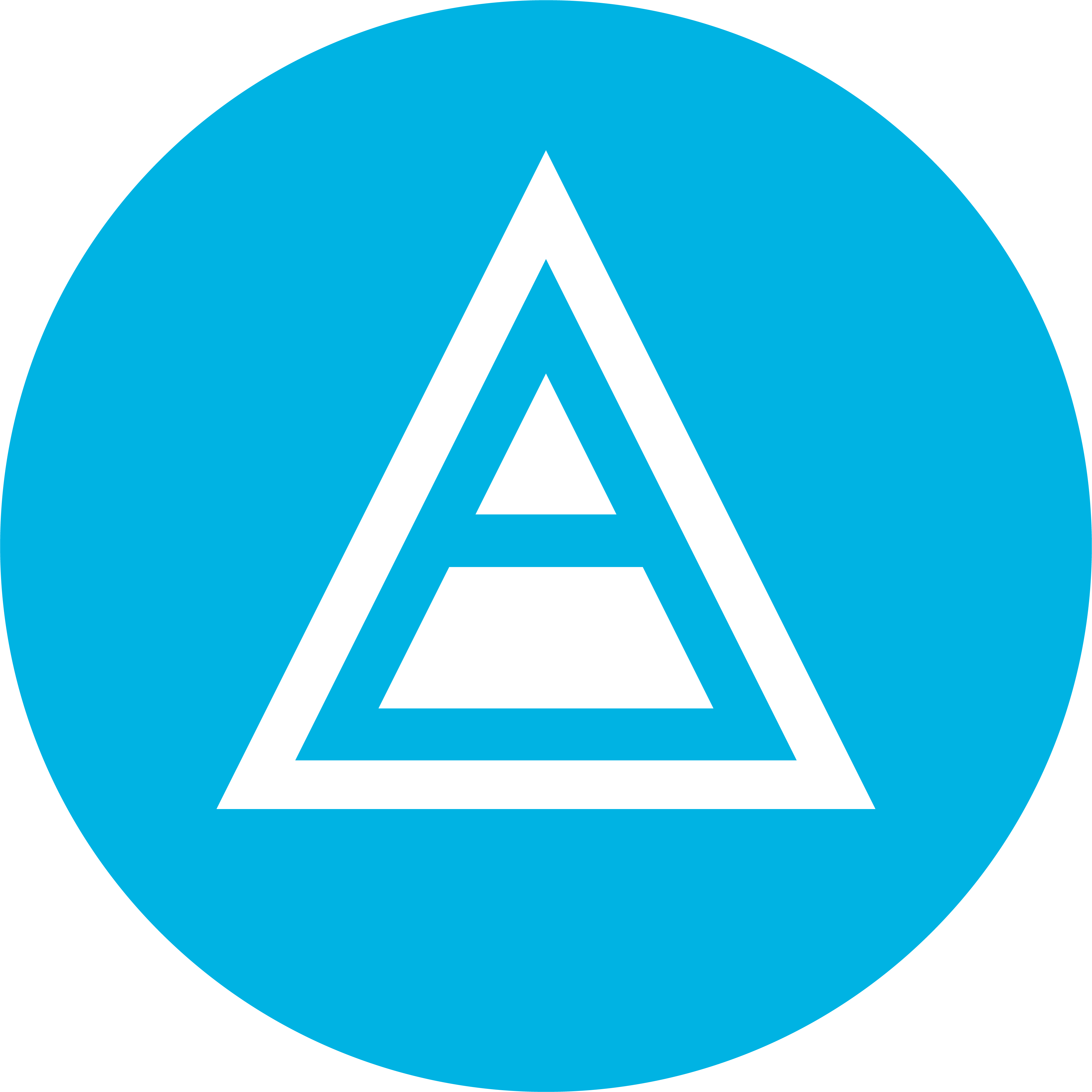 Netpeak Analytics Kit