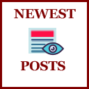 Newest Posts Widget