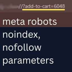 Noindex Parameters