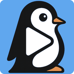 PingVid