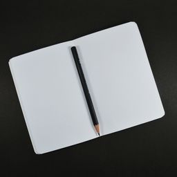 Plugin Display Page