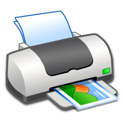 🖨 Print