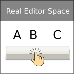 Real Editor Space
