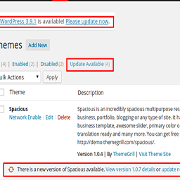Remove Update Notification