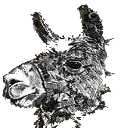 RSS llama
