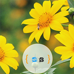 SB Banner Widget