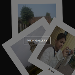 Scattered Polaroid Image Gallery