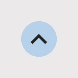 Scroll Back To Top Button