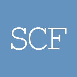 SEO Custom Fields